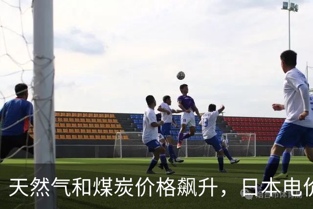 天然气和煤炭价格飙升，日本电价大涨25%